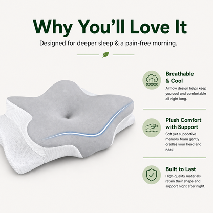 The Gleva Cervical Pillow